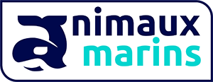 Animaux Marins